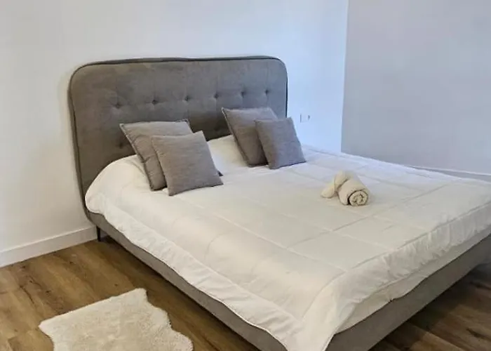 公寓 Loft Tenerife Sur 拉斯加莱塔斯